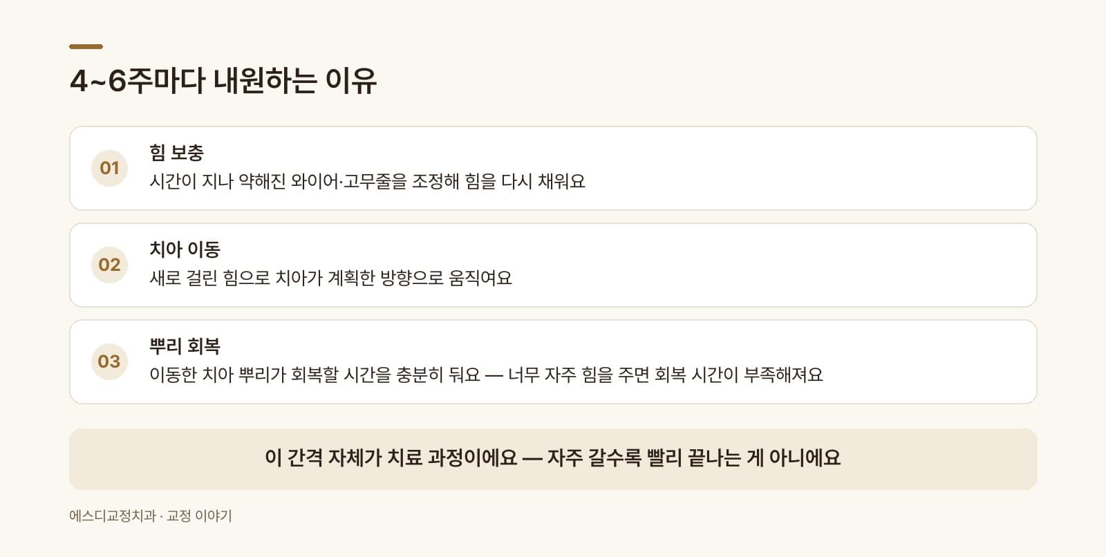 인포그래픽 — 내원 주기와 치아 이동 과정