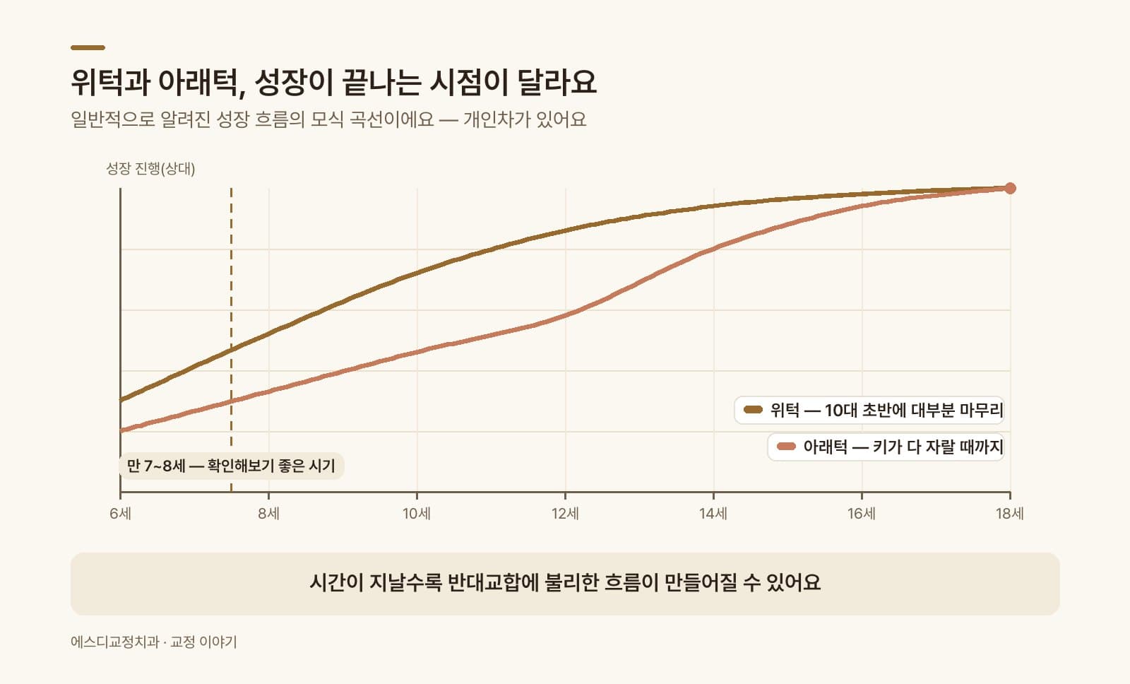 인포그래픽 — 위턱·아래턱 성장 곡선 비교 — 위턱은 10대 초반에 성장이 마무리되고 아래턱은 사춘기까지 이어지는 모습