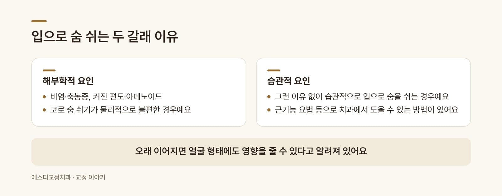 인포그래픽 — 구호흡이 나타나는 두 갈래 원인 — 해부학적 요인(비염·편도비대)과 습관적 요인 비교