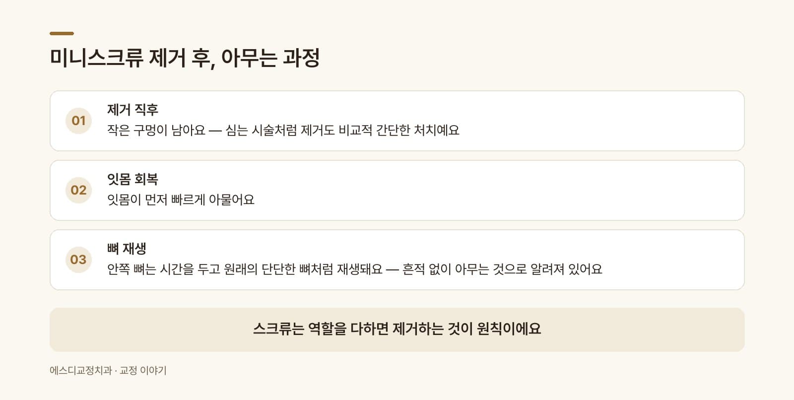 인포그래픽 — 스크류 제거 후 잇몸·뼈 회복 단계